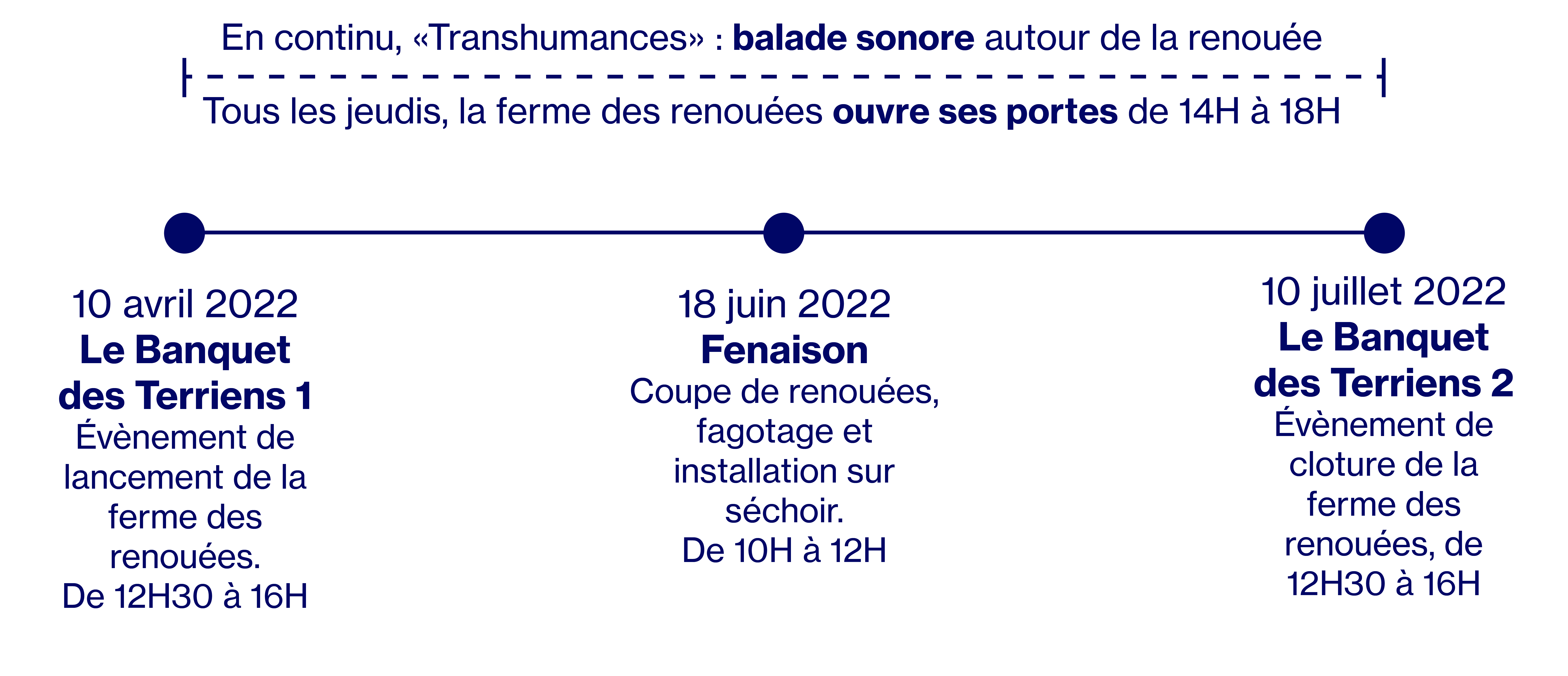 timeline biennale_Plan de travail 1