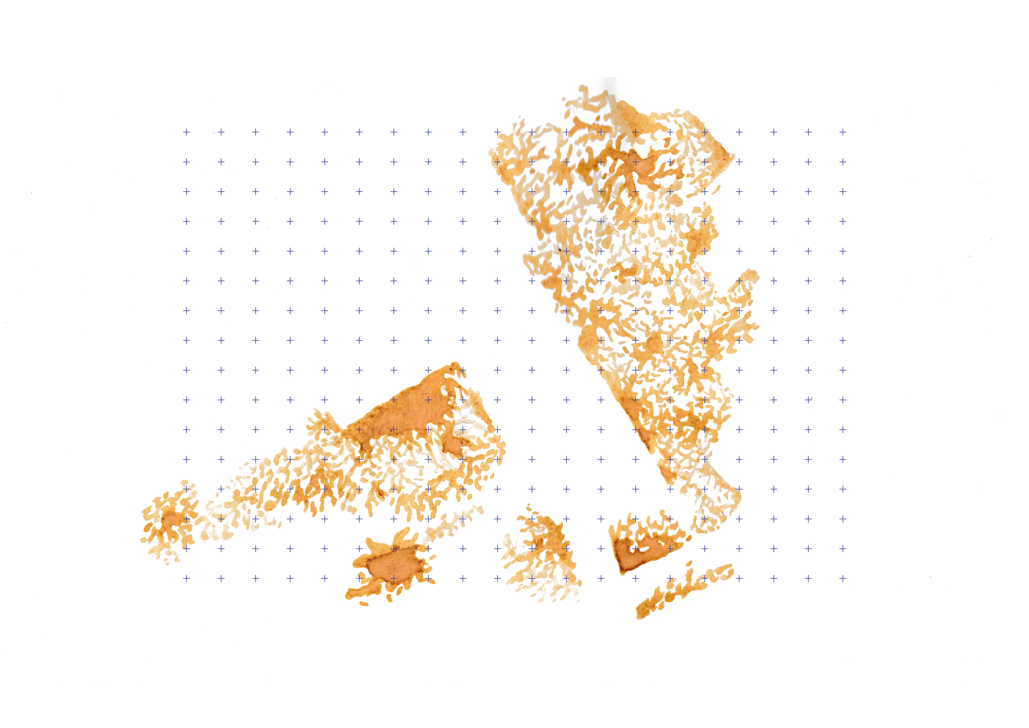 transhumance@4x carto_transhumus