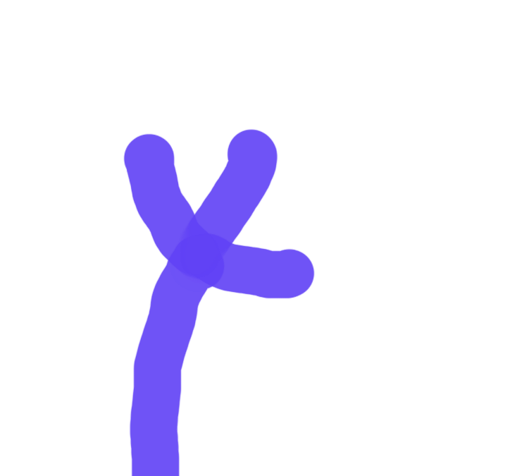 Najat